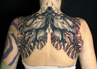 tattoo-schmetterling-rücken-tattoo-artist-tintenbunker-tattoo-studio-herz-in-tinte.jpg